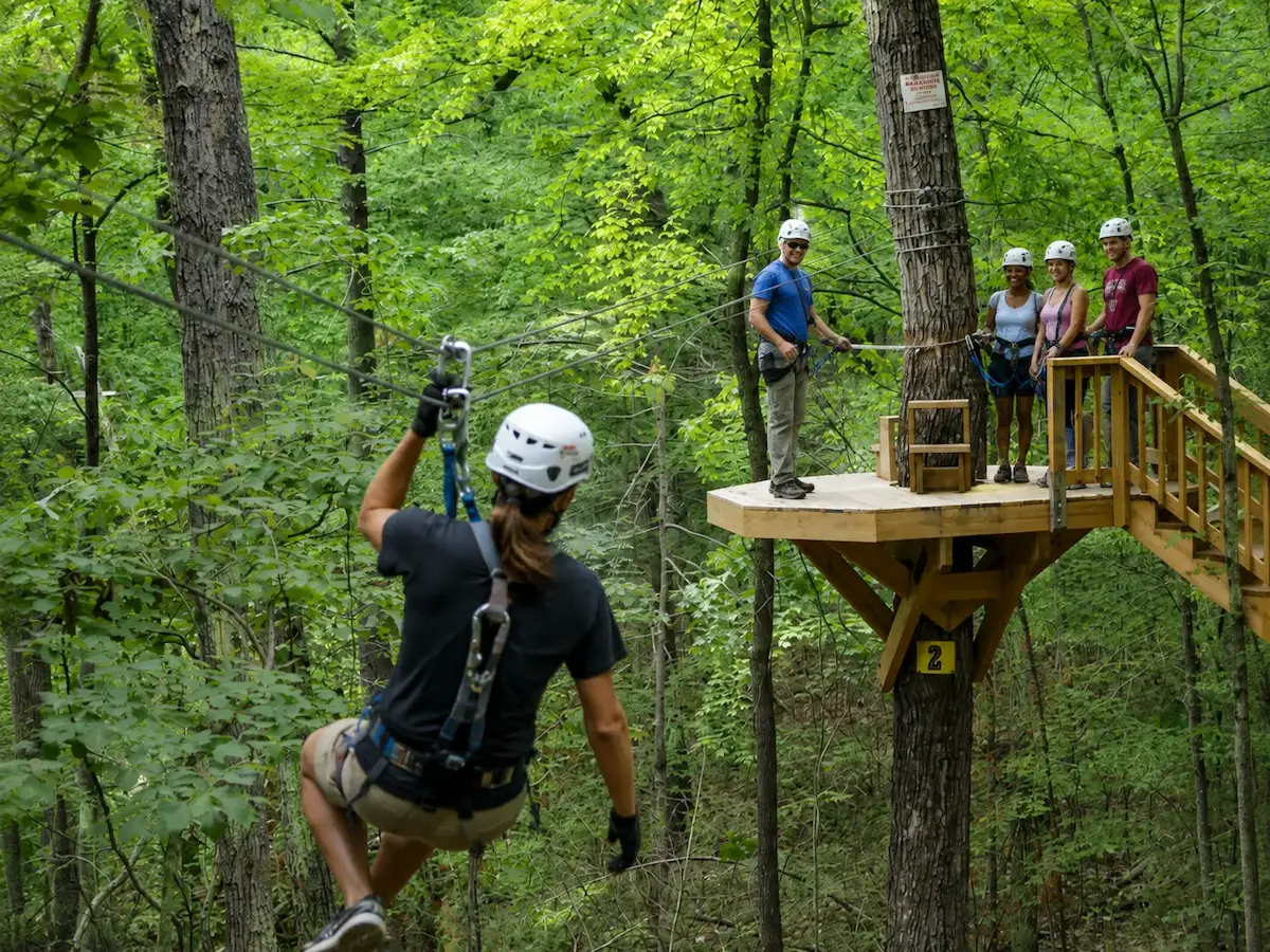 Zipline riders at a wooded adventure-course platform