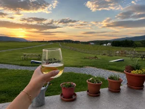 Castle Vineyards in Luray, Virginia