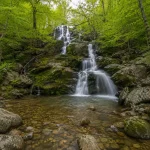 Dark Hollow Falls Trail in Shenandoah National Park