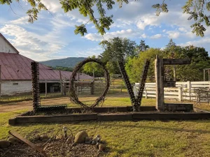 Wisteria Farm & Vineyard in Stanley, Virginia